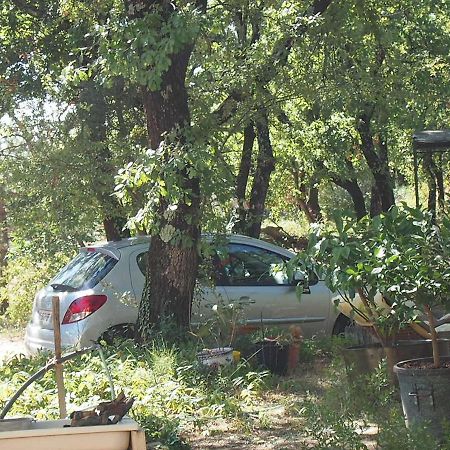 Bed and Breakfast La Cheneraie Vezenobres Zewnętrze zdjęcie